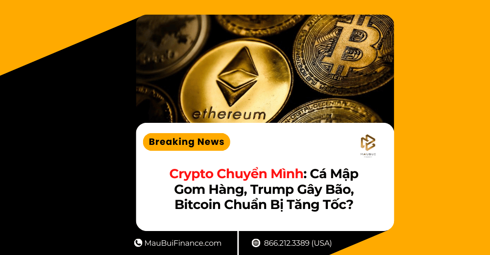 Crypto Chuyển Mình: Cá Mập Gom Hàng, Trump Gây Bão, Bitcoin Chuẩn Bị Tăng Tốc?