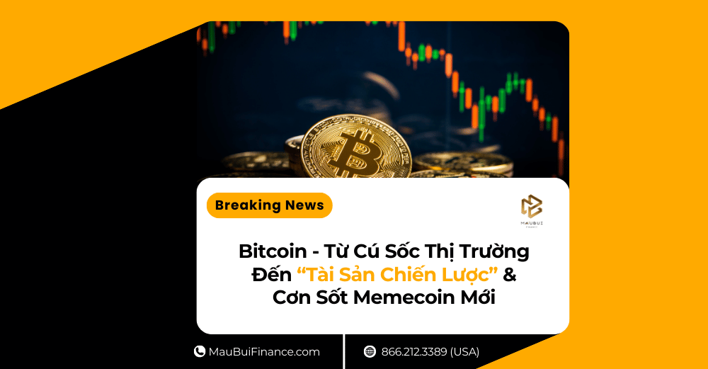 Bitcoin – Từ Cú Sốc Thị Trường Đến “Tài Sản Chiến Lược” & Cơn Sốt Memecoin Mới