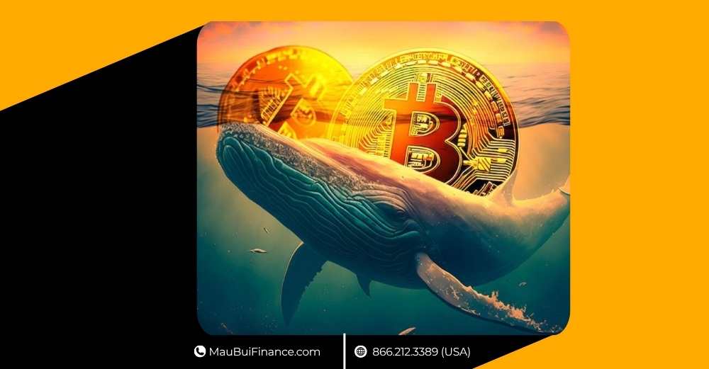 Cá voi Bitcoin cược 20x, XRP hứa hẹn $27 rồi sụp 90%, Tether mở nguồn khai thác BTC, Úc triệt phá 123 triệu USD rửa tiền, Paraguay “lật kèo” tin BTC hợp pháp