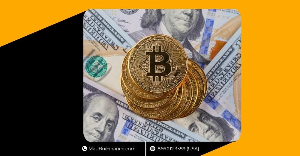 Bitcoin Cạn Kiệt, Trump Loạn Ví, K-Wave Bơm Tiền: Tín Hiệu Đảo Chiều Đang Gõ Cửa Crypto?
