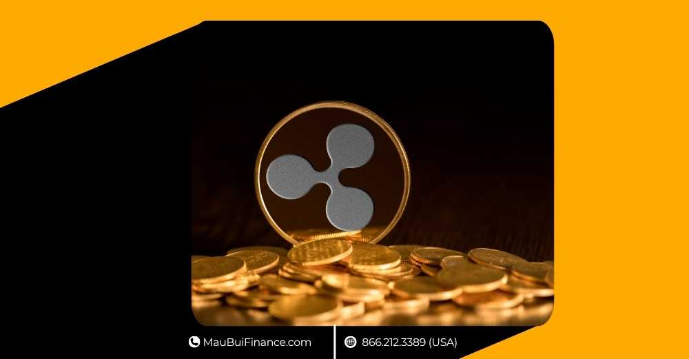 XRP sắp tăng 530%, ARK bán Circle lấy lãi, Bitcoin rung lắc vì $104K, ChatGPT trỗ giúc trading, Đào Bitcoin tại nhà bùng nổ