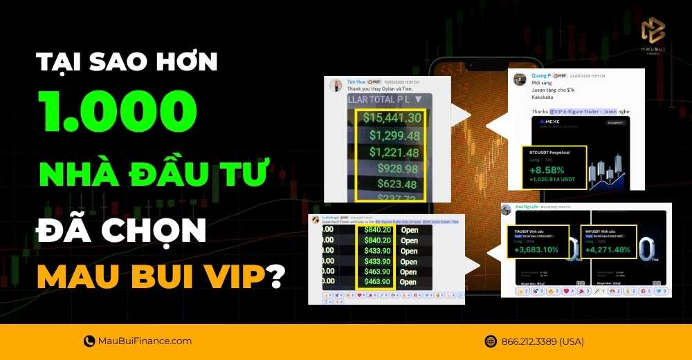 Tại Sao Hơn 1.000 Nhà Đầu Tư Đã Chọn Mau Bui VIP?