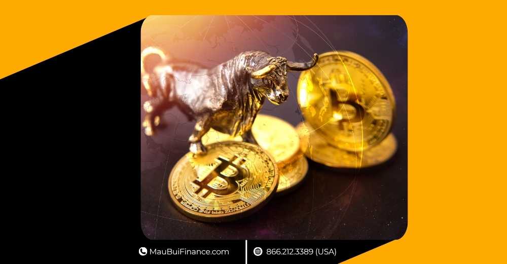 Bitcoin bùng nổ 2026, vàng sốt lịch sử, Solana gây tranh cãi & niềm tin OGs lung lay: Thị trường tiền số bước vào giai đoạn quyết định