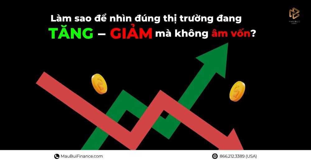Làm Sao Để Nhìn Đúng Thị Trường Đang TĂNG – GIẢM Mà Không Âm Vốn?