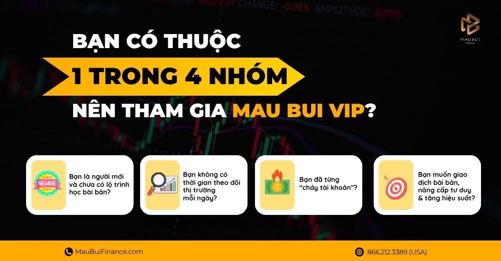 Bạn Có Thuộc 1 Trong 4 Nhóm Nên Tham Gia Mau Bui VIP?