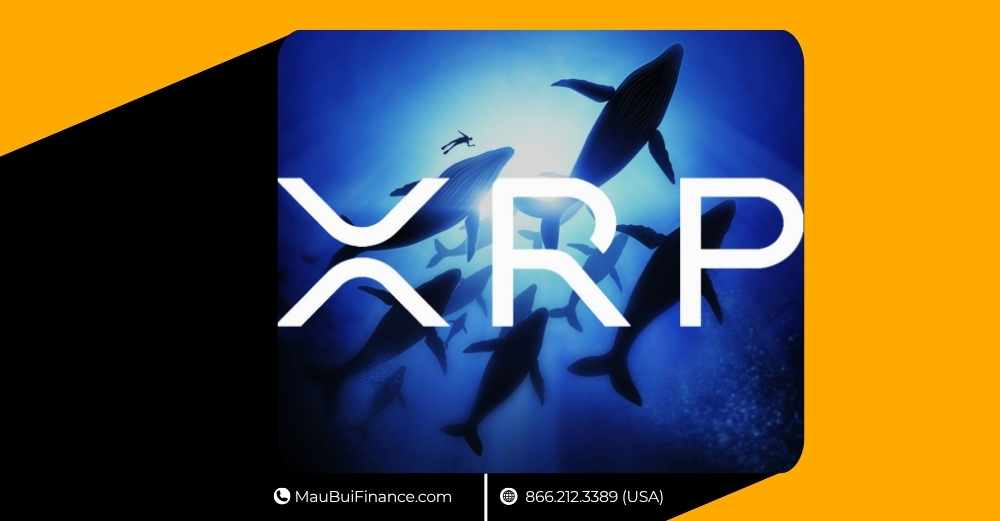 AI săn sóng memecoin, phiên tòa Tornado Cash căng như dây đàn, tokenized stocks bùng nổ 220%, cá voi xả 1,9 tỷ USD XRP, Bitcoin chờ cú bứt phá $250K và BOB huy động $21M mở đường BTC-DeFi