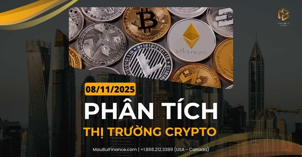 Phân tích thị trường Crypto trong Livestream Youtube 08/11/2025