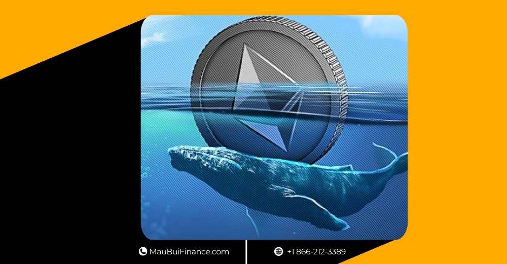 Thị Trường Biến Động: Bitcoin Chịu Áp Lực Khủng, Cá Voi ETH “Bắt Đáy” Tiền Tỷ, Trong Khi Solana và Các Quỹ ETF Mở Ra Cơ Hội Mới