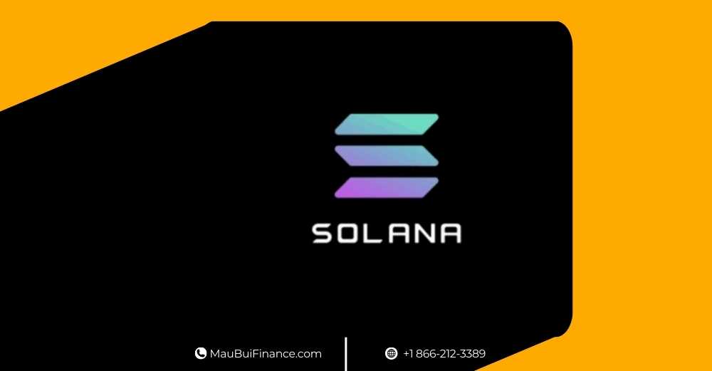 Solana sắp có ETF Staking, Quốc gia đổ xô tích trữ Bitcoin, và Bitcoin không còn là điểm khởi đầu cho nhà đầu tư mới