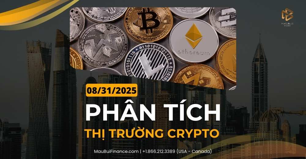 Phân tích thị trường Crypto trong Livestream Youtube 09/14/2025