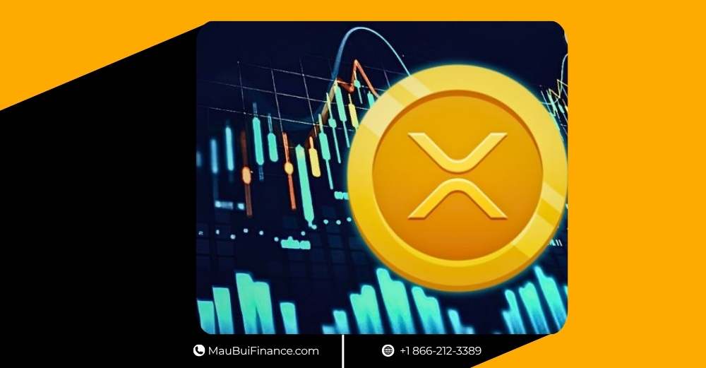 Bitcoin Không Phải Crypto, XRP Lập “Kho Bạc Tỷ Đô”, Cảnh Báo Di Sản Số, Và Những Lỗ Hổng Gây Tranh Cãi Trên DeFi