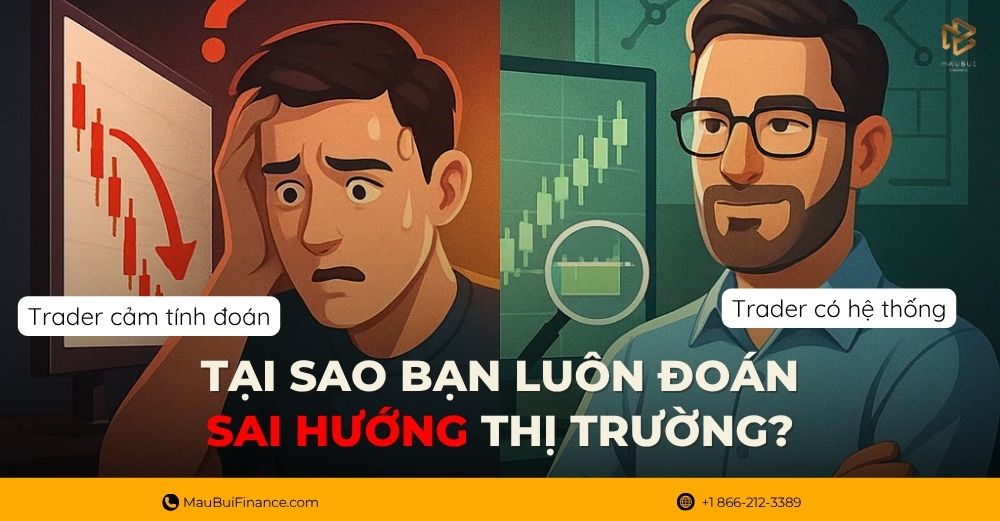 📉 Tại Sao Bạn Luôn Đoán Sai Thị Trường?