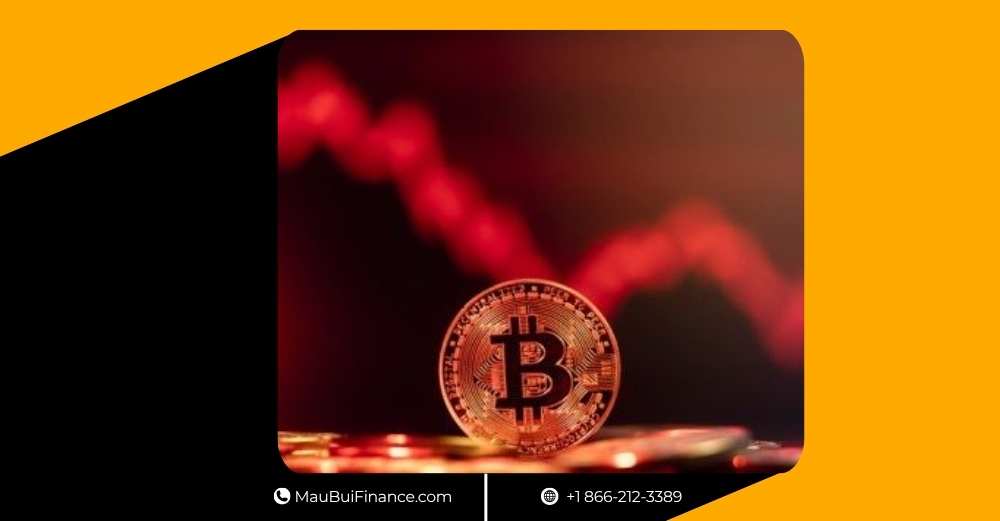 Bitcoin chạm đáy $100K, Binance dính lùm xùm stablecoin, Cathie Wood “gom hàng”, SBF đòi xét xử lại, nhà đầu tư chìm trong “sợ hãi tột độ”