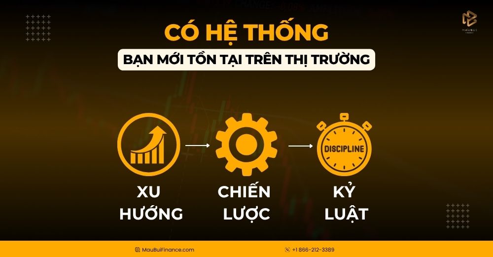 Có Hệ Thống – Bạn Mới Tồn Tại Trên Thị Trường