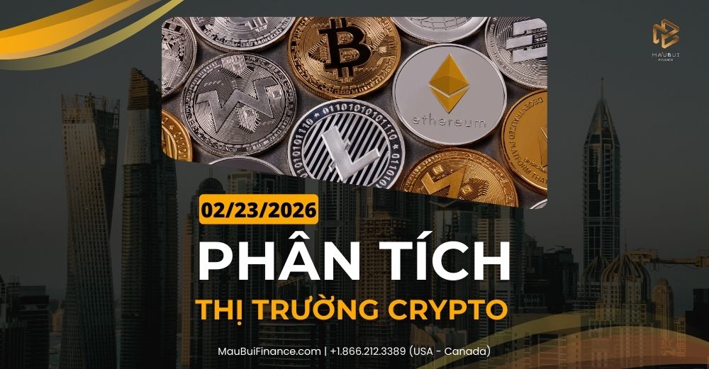 Phân tích thị trường Crypto trong Livestream Youtube 02/23/2026