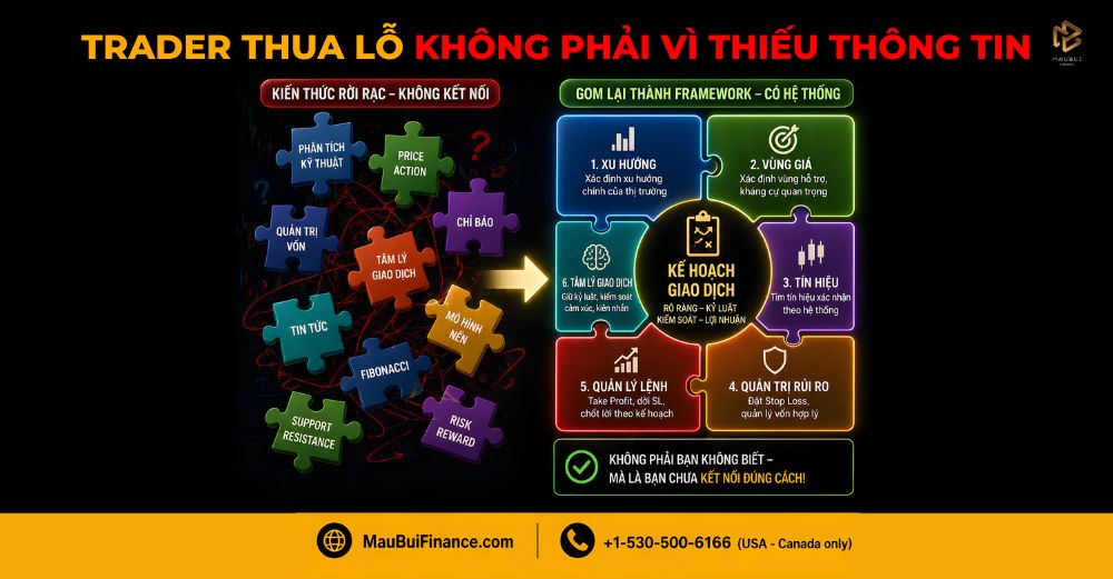 Trader Thua Lỗ Không Phải Vì Họ Thiếu Thông Tin